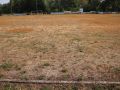 PELOUSE du Stade Rimorin